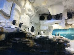 -华夏文旅海洋公园