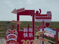 -北海金海湾红树林生态旅游区