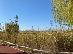 -永定河休闲森林公园