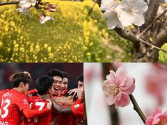 -上海体育场