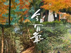 -西湖风景区十里琅珰-五云山