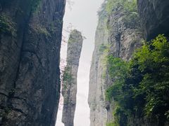 -恩施大峡谷