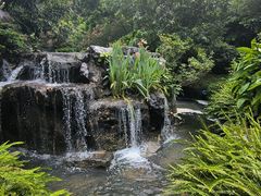 -云溪植物园