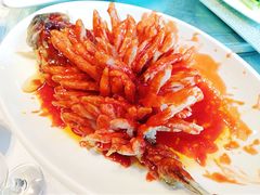 -楚灶王(徐东店)