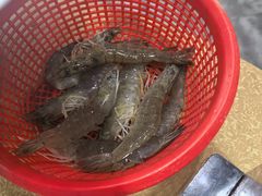 -濠轩阁特色生蚝火锅(水湾路店)