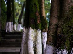 -重庆平顶山公园