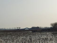 -天津东丽湖风景区