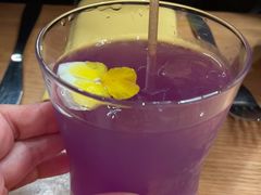 -美国自然历史博物馆