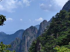 -黄山排云型旅酒店餐厅