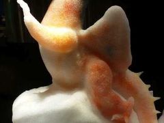 -甄品麦哲伦海鲜和牛自助(万达广场店)