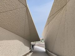 -扎耶德国家博物馆