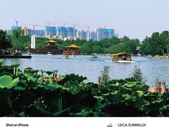 -济南大明湖景区