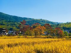 -塔川景区