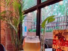 -Boxing Cat Brewery拳击猫精酿啤酒馆(永福店)