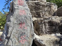 -大岭沟猕猴桃谷风景区