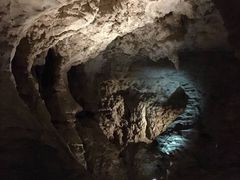 -怀托摩萤火虫洞