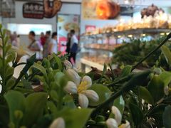 -BreadTalk面包新语·烘焙蛋糕(海珠丽影广场店)