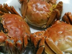 -喜洋洋蟹庄(阳澄湖店)