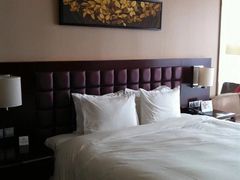 -上海浦东绿地铂骊酒店