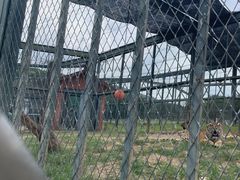 -无锡动物园·太湖欢乐园