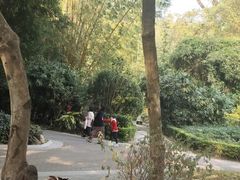 -人民公园(罗湖区)