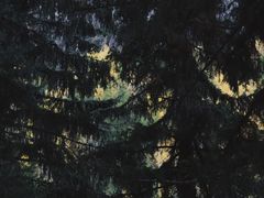 -可可托海景区