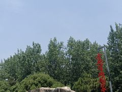 -合肥滨湖国家森林公园