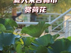-北山公园
