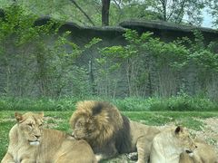 -北京野生动物园