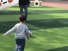 -糖心家族国际幼儿园·托育园(南开水上公园店)