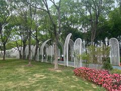 -渤公岛生态公园