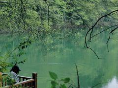 -青龙山国家森林公园