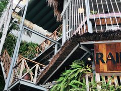 -Rainforest