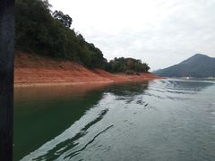 -广州市流溪河国家森林公园