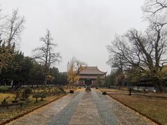-苏州文庙(姑苏区)