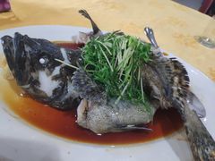 老虎斑-蚝专家(北滘店)