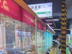 -天天玩X秋葉原日系动漫游戏中心