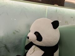 -眉州东坡·熊猫主题餐厅(枫蓝店)