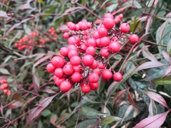 -西安电子科技大学（长安校区）-同学好(高校店)