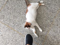 -苏州人民商场