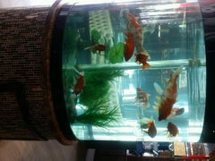 android_upload_pic-08涮肉坊(广顺南大街店)