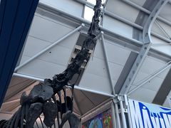 -奥黑尔国际机场