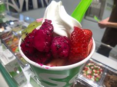-Salud撒露欧洲冻酸奶(北苑上品店)