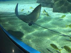 -常州海昌海洋探索馆