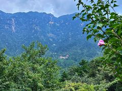 -九华山风景区
