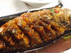 -金蝉食府(维吉奥广场店)