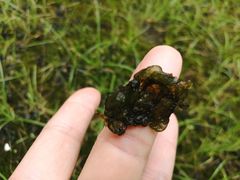 -经纬·泓汇地标家园