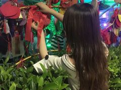 -幻彩摩天轮