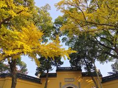 -灵岩山风景区