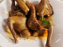 -百利鸽王(紫薇路店)